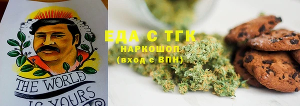 шишки Новодвинск
