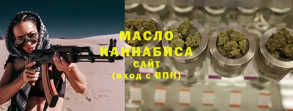 шишки Новодвинск