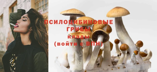 прущая мука Новозыбков
