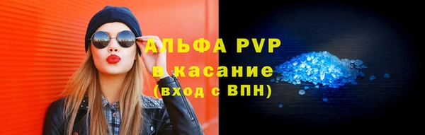 шишки Новодвинск