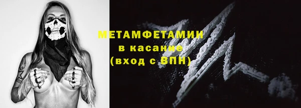 шишки Новодвинск