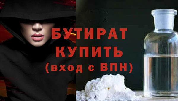 шишки Новодвинск