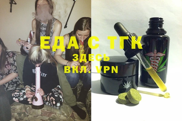 шишки Новодвинск