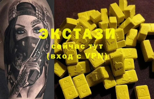 шишки Новодвинск