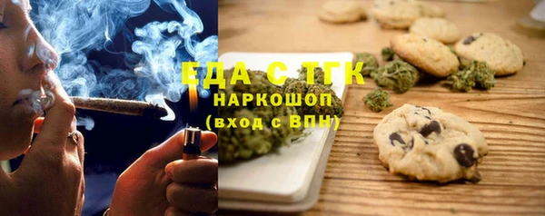 шишки Новодвинск
