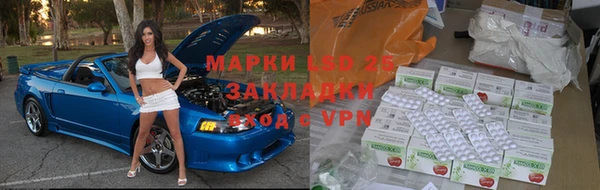 шишки Новодвинск