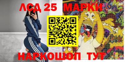 эйфоретик Берёзовский