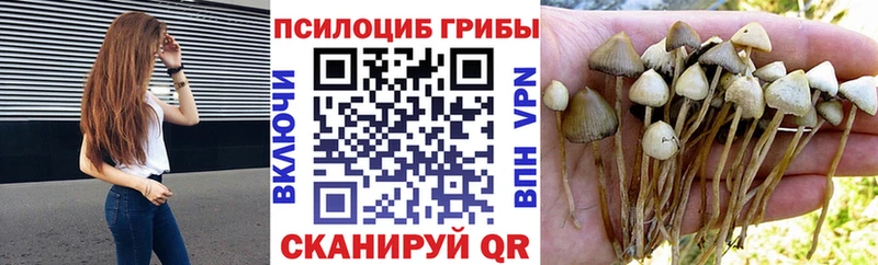 Псилоцибиновые грибы ЛСД  Каменск-Уральский 