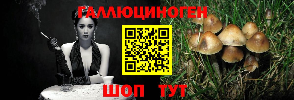 Галлюциногенные грибы Psilocybine cubensis Каменск-Уральский