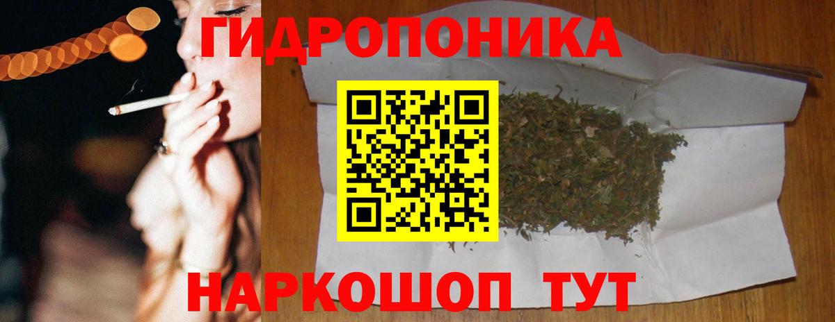 Конопля гибрид Каменск-Уральский